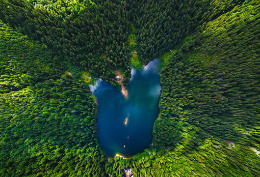 Aerial view of Lake Synevir in the Carpathian Mountains in Ukraine. Synevyr National Nature Park, Carpathians, Ukraine. 