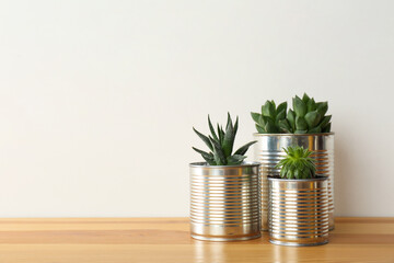 Houseplants in tin cans on wooden table. Space for text