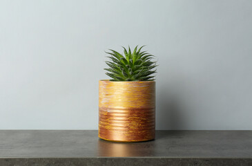 Beautiful houseplant in tin can on grey stone table