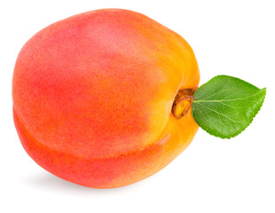 single apricot fruit with green leaf isolated on white background. full depth of field