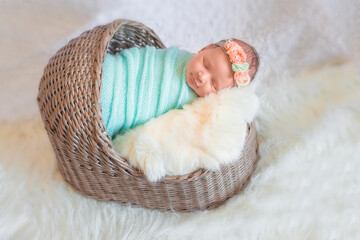 newborn cute sleeping on a beautiful background