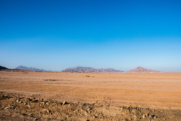 desert landscape