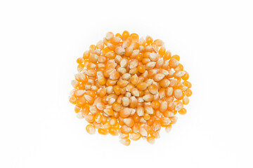 Corn seeds at studio