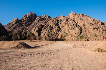 landscape in the desert