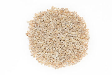 Barley grits/goats at studio