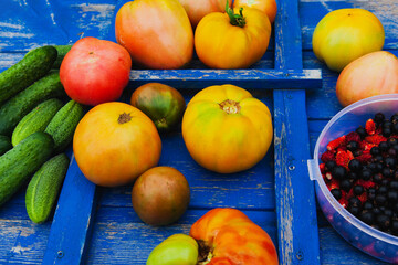 Cucumber tomato and berry, fresh vegetables on the background of a wooden blue retro texture.