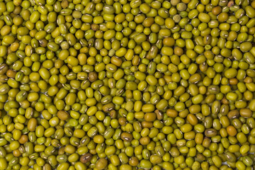 Many green mung beans