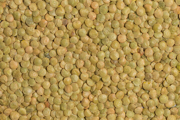 Green lentil background in studio