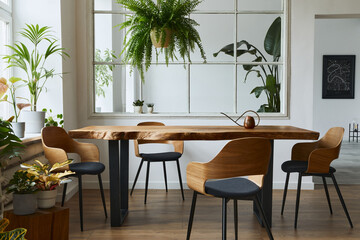 Stylish and botany interior of dining room with design craft wooden table, chairs, a lof of plants, big window, poster map and elegant accessories in modern home decor. Template.