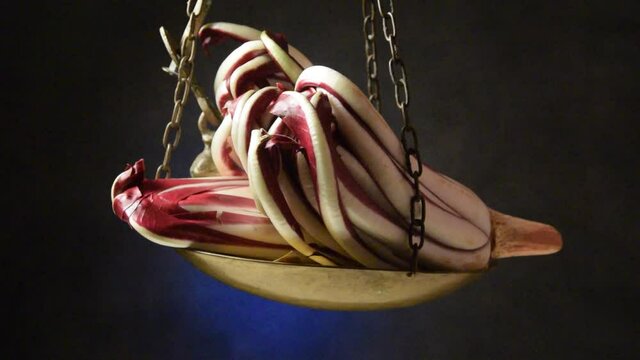 Radicchio rosso tardivo di Treviso  ft0209_0201