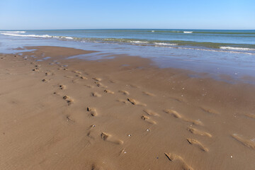 Beach of Berk  in Hauts-de-France region 