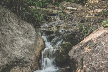 Cascada, riachuelo de montaña en el bosque