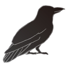 カラス