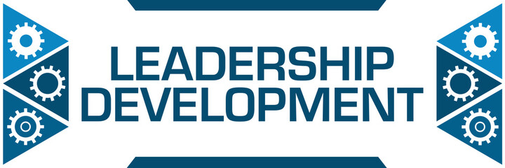 Leadership Development Blue Triangles Both Sides Gears 