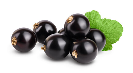 black currant with leaves isolated on white background with clipping path and full depth of field