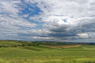 Italien - Toskana - Montalcino - Umland