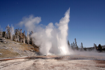 Grand Geyser, Yellowstone National Park