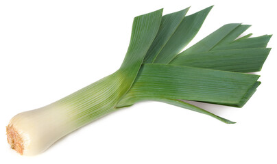 leek isolated on white background. full depth of field