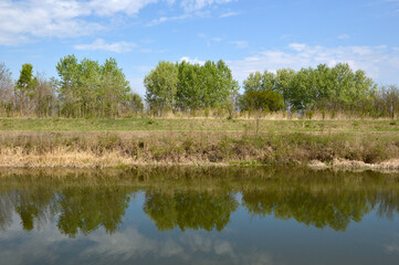 Fototapeta na wymiar rural landscape by the river reflected in the water in spring