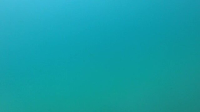 Slow motion shot of a bodyboarder surfer duck dives under a wave out in the surf