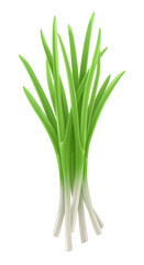 Green onion