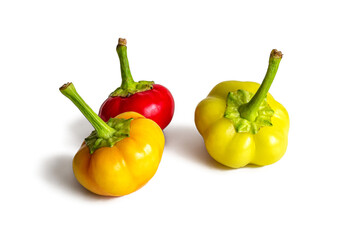 Small multicolored pods of hot chili pepper on a white background