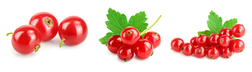 Red currant berries with leaf isolated on white background. Set or collection