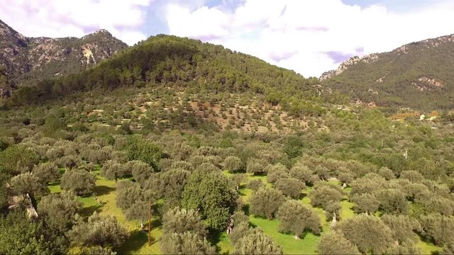 public estate, Raixa, Bunyola, Mallorca, Spain