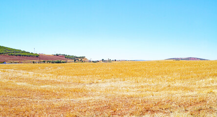 Obraz premium Tierras en barbecho en Puerto Lápice, Castilla La Mancha, España, Europa 