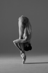 Naklejka premium Young beautiful ballet dancer is posing in studio