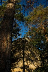 Landscape, Nature, Trees, Rocks and detail