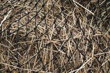 texture of hay and straw