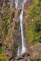 Fototapeta na wymiar Wairere Falls, the tallest and one of the most attractive in New Zealand's North Island, cascading down a rock face in the Kaimai Mountains