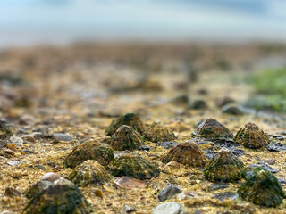 stones on the beach
