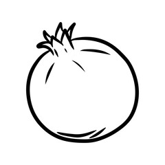 Pomegranate. Hand drawn vector illustration in doodle style, isolated on a white background.