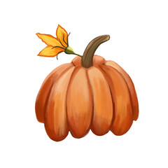 Orange pumpkin on an isolated white background. Digital art, oil imitation. Autumn harvest, vegetable, halloween. Stock illustration.