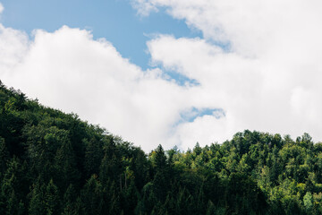 View of the mountain forest and a sky