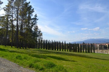 landscape with trees