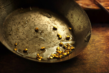 Finding gold. gold panning or digging. Gold on wash pan. Shallow depth of field.