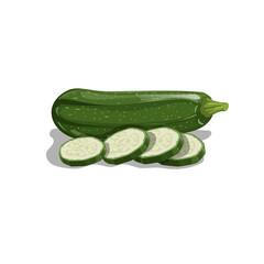 Fresh zucchini with slices in cartoon style. Vector illustration of farm fresh vegetable. Organic food isolated on white background.