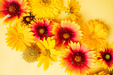 nice flowers on the yellow background
