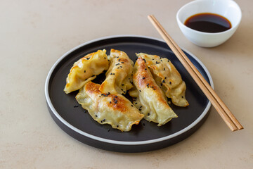 Fried dumplings with soy sauce. Gyoza. Healthy eating. Vegetarian food.