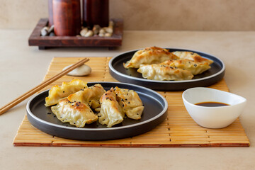 Fried dumplings with soy sauce. Gyoza. Healthy eating. Vegetarian food.