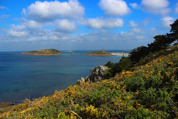 Obraz premium Vue sur les ilots dans côtes d'armor depuis la pointe de Bihit en Bretagne
