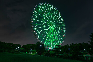 Fototapeta premium 観覧車 夜 緑