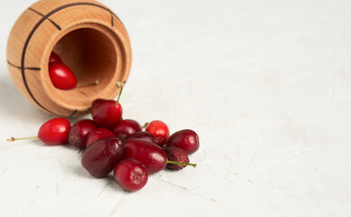 ripe red dogwood berries in a wooden bowl, gray background, close up