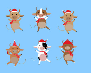 Merry Christmas and happy new year 2021. The year of the ox. The male cow and bull wear red winter costume