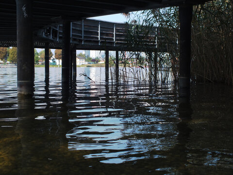 Fototapeta wasserbrücke mit pflanzen 