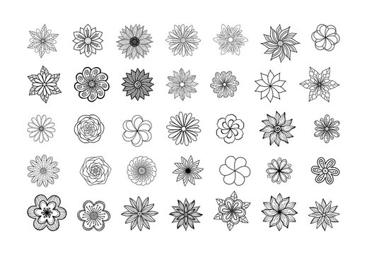 Big collection of line art flowers top view.Graceful thin lines design elements or logo for a fashionable beauty brand.The vector is isolated and easy to edit. Social networks decoration, henna tattoo