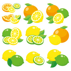 柑橘類、オレンジ・レモン・ライム、新鮮なカットフルーツ のベクターイラスト